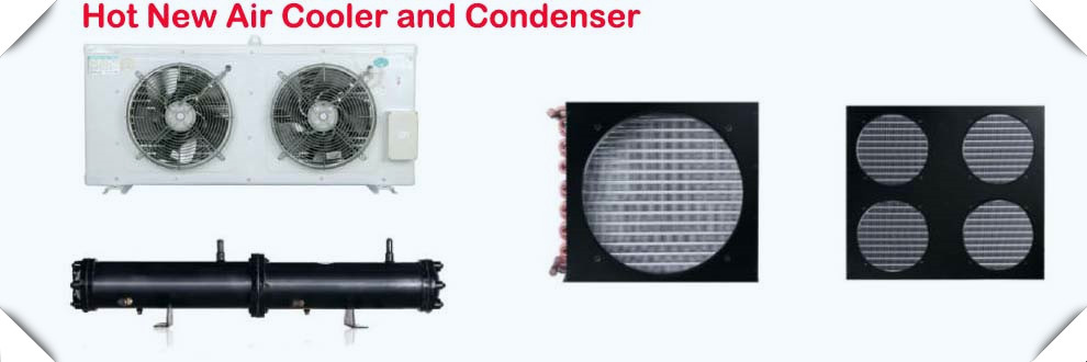 Copeland Scroll condensing Unit ZXD090BE-TFD-551-Product Center